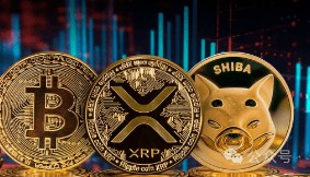 比特币暴跌预警？XRP转折点来临，柴犬能否破局？