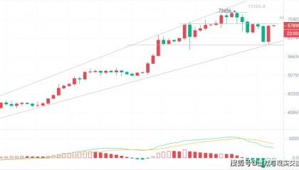 3.21币圈院士解析加密货币趋势,比特币与以太坊今日操作建议