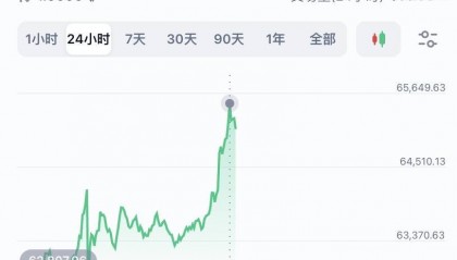 比特币突破6.5万美元,狗狗币、柴犬币等跟涨