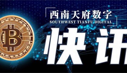 本次减半对行情影响有限/美现货比特币ETF90%资金流入来自散户