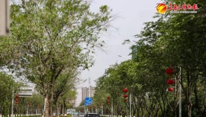 最近出门,总觉得乌鲁木齐哪里变了……