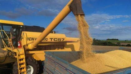 中国这边狂进货,美国人彻底蒙圈,今年剩下的仨月,要喝西北风了