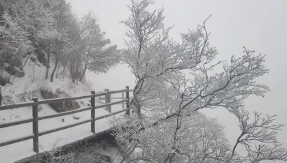下了两天!最厚积雪30公分!明起,河南将迎晴朗天气!