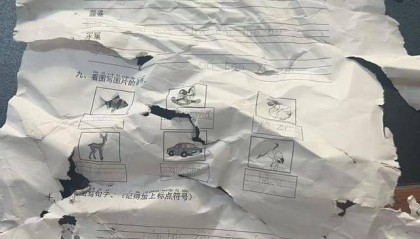 晚上回家发现语文作业被扫地机器人“吃”了,杭州小学生陷入纠结