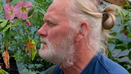 两只雌蚊和一只雄蚊被发现,全球最后一个无蚊国冰岛“沦陷”