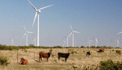 比特币失宠 矿商纷纷转向AI