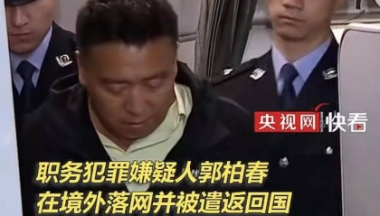 周末,交易所罕见出手!投资者有两大疑问