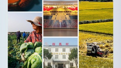 时政新闻眼丨习近平考察湖北,为何重点关注这两个县?