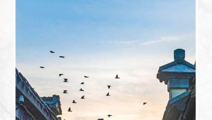 已确认!是尼格买提