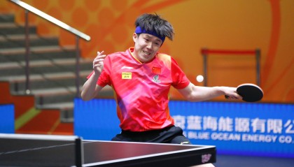 ​王楚钦出战法兰克福冠军赛，张本智和“一轮游”