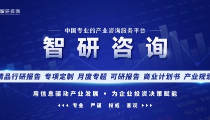 2024-2030年中国比特币市场全景调研及投资前景研判报告