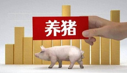 猪价涨了！各地中国养猪网猪价行情实时更新