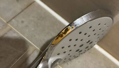 女子入住知名连锁酒店,洗完澡发现花洒上有粪便?酒店方回应