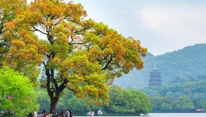 跨境电商展|2024第十三届杭州国际跨境电商交易博览会【官网】