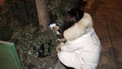 一医学生疑因论文数据被挪用身亡,医院成立专班调查