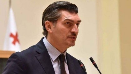 格鲁吉亚新总统首次公开演讲:将继续致力于加入欧盟