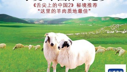 正宗宁夏盐池滩羊如何在线上购买?网上购买?