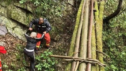 6名“驴友”在庐山探险走失,被追缴2万元救援费,组织者被追缴4000元