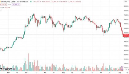 比特币暴跌,发生了什么?
