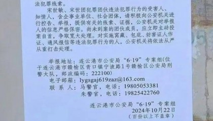 实探已落网的江苏“农民副县长”宋世敏老家:强制改造村内住房引争议 曾任当地一学校董事长