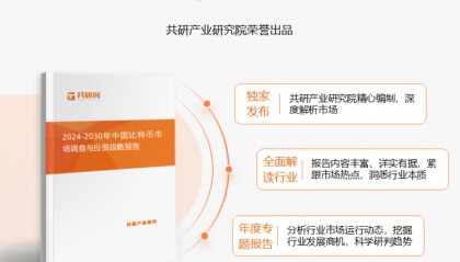 2024年中国比特币行业现状发展分析[图]