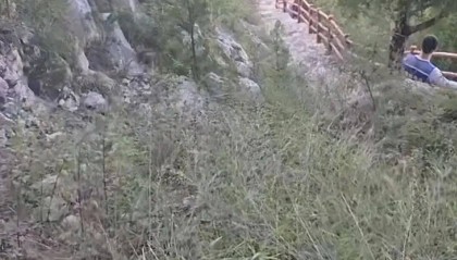 刚刚证实:苏某某已身亡,年仅29岁!遗体在离家2公里处……