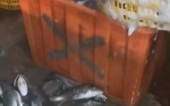水产市场“麻醉鱼”调查 目前国内尚未明确产品残留剂量标准