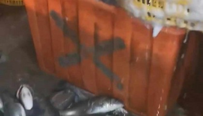 水产市场“麻醉鱼”调查 目前国内尚未明确产品残留剂量标准