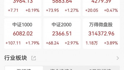 95后小伙炒股一个月赚112万!自己存款50万,加上岳母资助100万,岳母技术支持