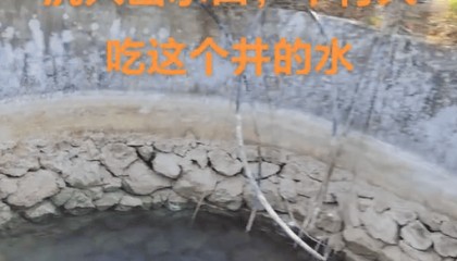 村庄水井内发现被绑石头死猪,“一半村民饮用水源”,广西荔浦警方介入