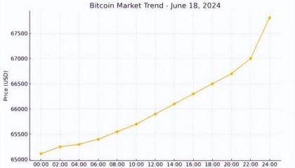 比特币市场动荡:BOSS Wallet加密数字货币用户如何应对