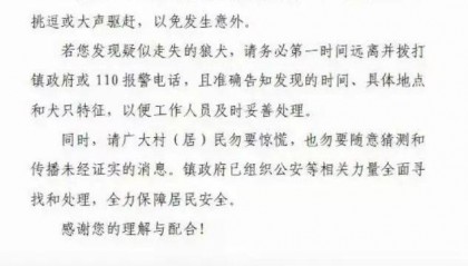 陕西一镇上有狼外逃?当地回应:是狼犬,已击毙21只,还有一两只在逃