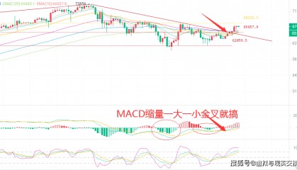 3.25币圈投资老手币圈院士解析比特币市场动态,提供专业交易建议