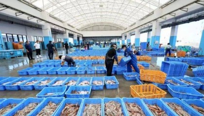 石破茂让全世界吃惊!日本突然做出承诺,中方把话说透,美方绝没料到