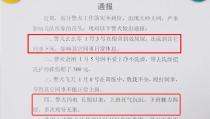 “上班死气沉沉、下班魅力四射”,警犬被通报