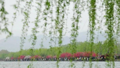 确认了!今天起,杭州持续一周甚至更久......