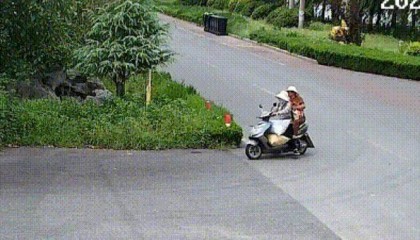 400斤,两人多次偷猕猴桃自己吃,被济南警方抓获