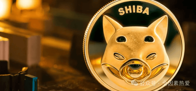 比特币暴跌预警？XRP转折点来临，柴犬能否破局？