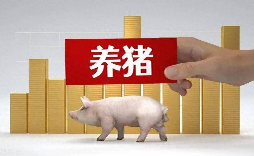 猪价涨了！各地中国养猪网猪价行情实时更新