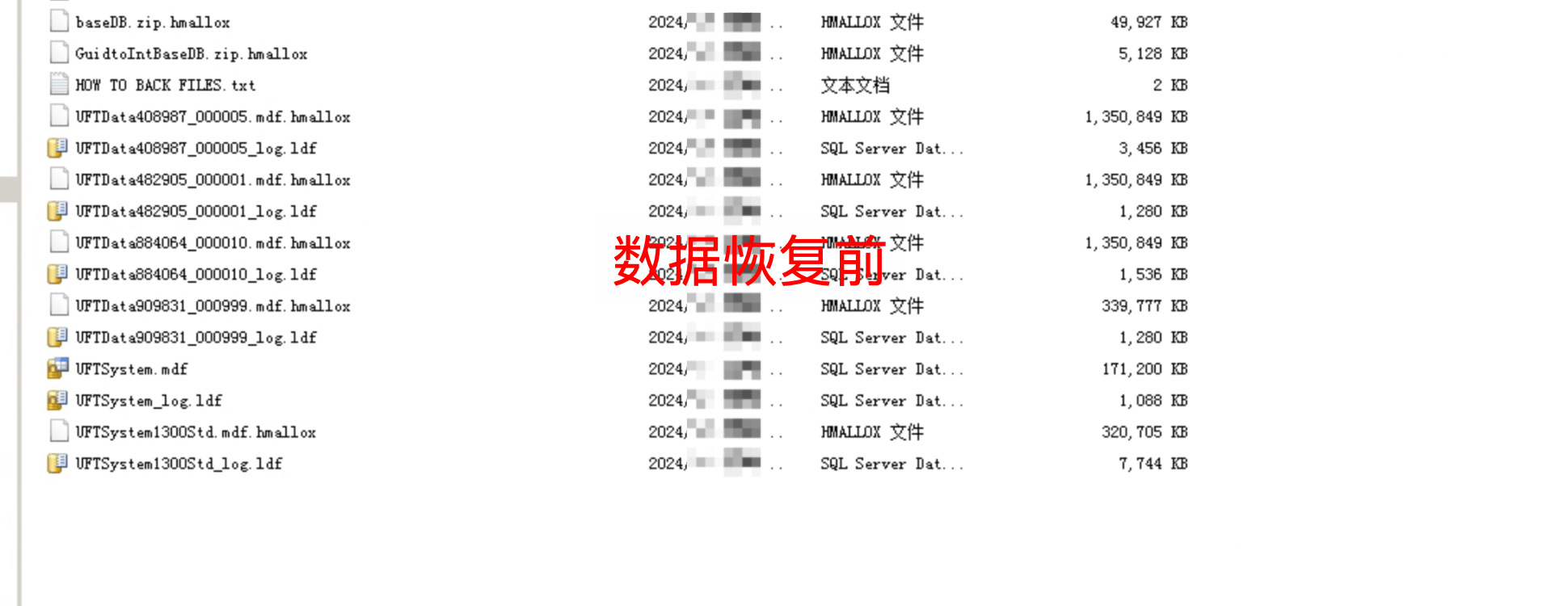 .hmallox勒索病毒解密|勒索病毒解决|勒索病毒恢复|数据库修复