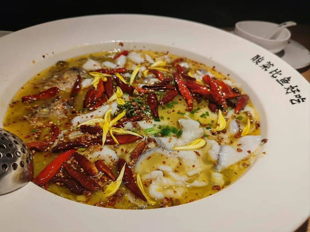 7分钟上齐3道菜,太二酸菜鱼“活鱼现做”遭质疑!客服:只有“鲜活门店”是活鱼现杀