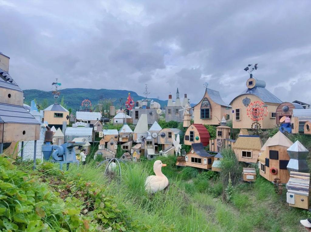 丽江一景区“人体蜈蚣”等作品被指观感不适，回应：已拆除