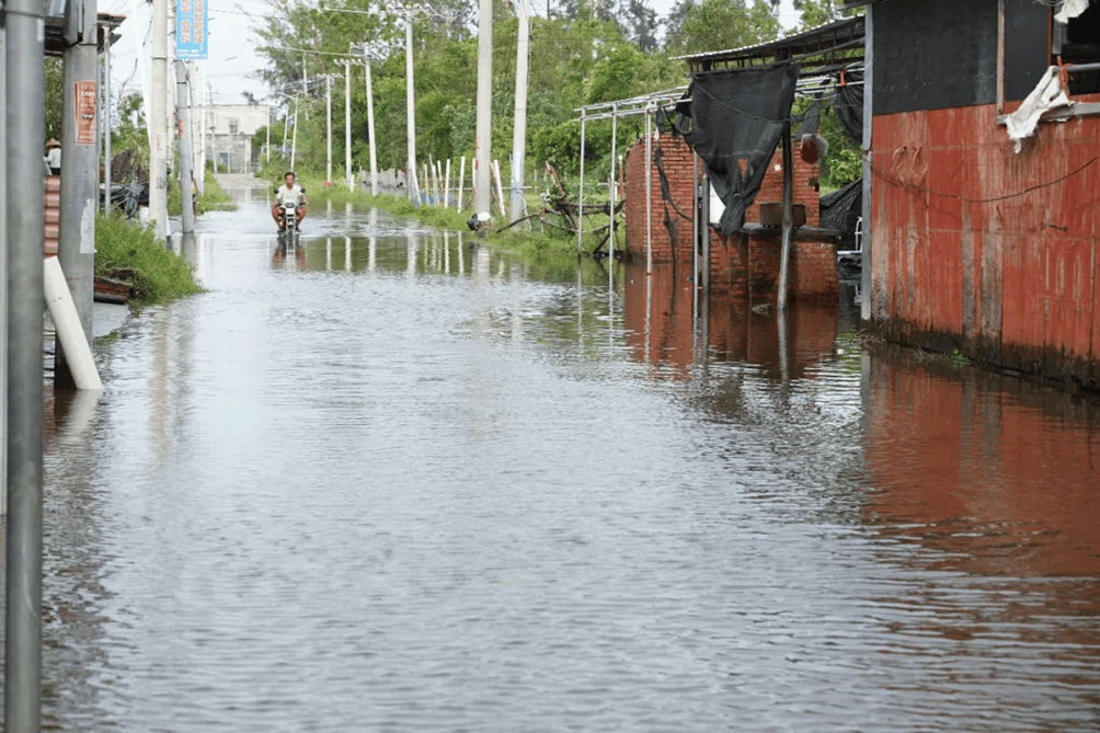村镇导演追三个超强台风 拍下被遗忘的农民