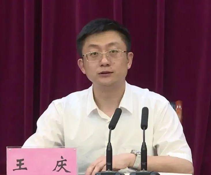 3位厅干履新,重庆市原江北区委书记陶世祥任巴南区委书记